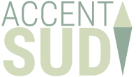 Accent Sud, consultant web
